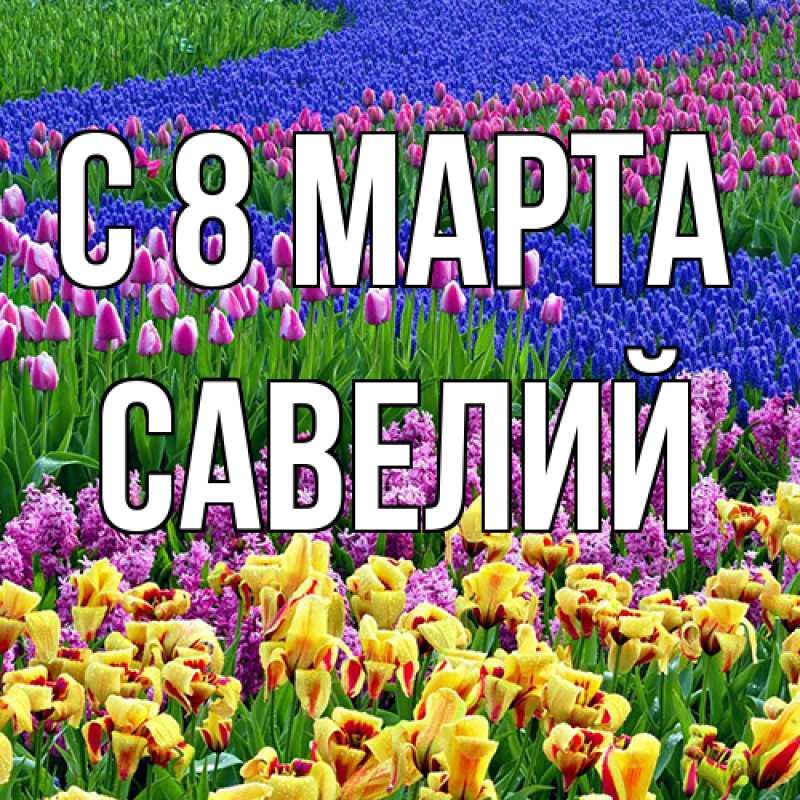 Картинка C 8 МАРТА, Савелий