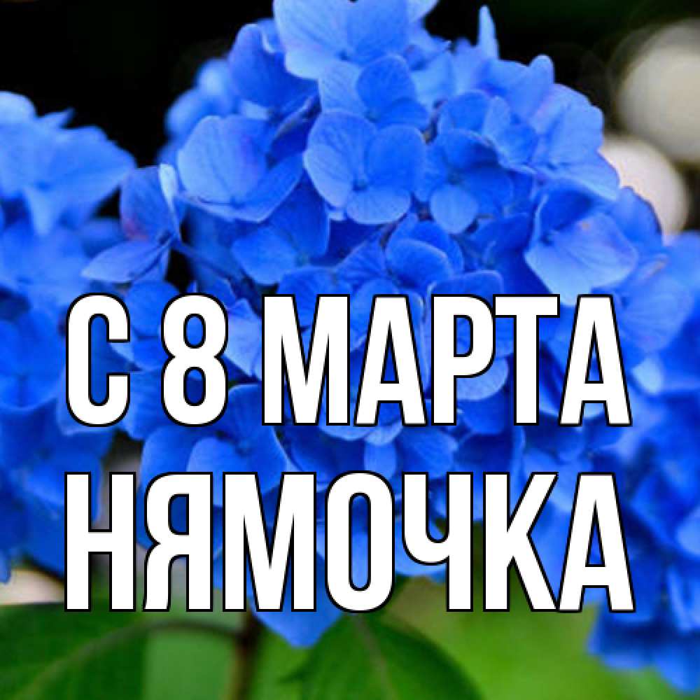 Открытка на каждый день с именем, нямочка C 8 МАРТА синие цветы Прикольная открытка с пожеланием онлайн скачать бесплатно 