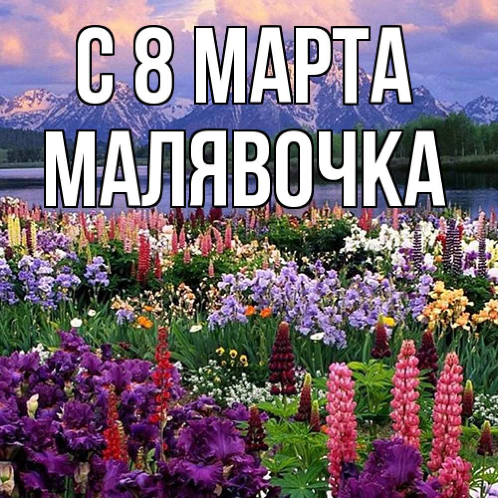 Открытка на каждый день с именем, малявочка C 8 МАРТА международный женский день Прикольная открытка с пожеланием онлайн скачать бесплатно 