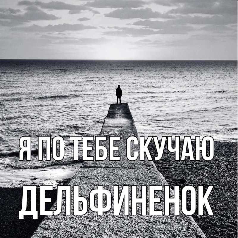 Картинка Я по тебе скучаю, дельфиненок
