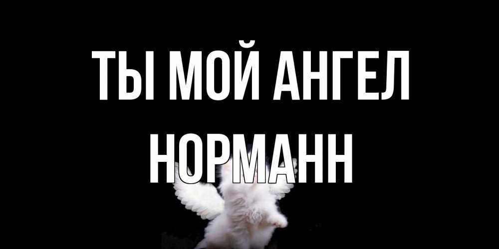 Открытка на каждый день с именем, Норманн Ты мой ангел Кот ангел Прикольная открытка с пожеланием онлайн скачать бесплатно 