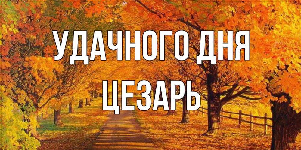Открытка на каждый день с именем, Цезарь Удачного дня деревья с осенними листьями Прикольная открытка с пожеланием онлайн скачать бесплатно 