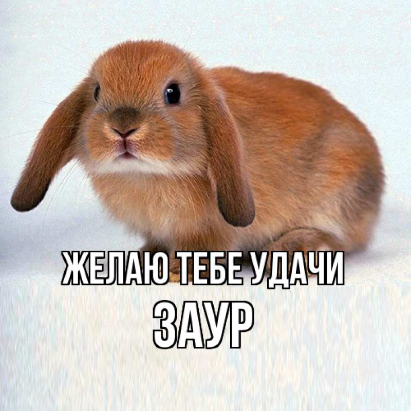 Картинка Желаю тебе удачи, Заур