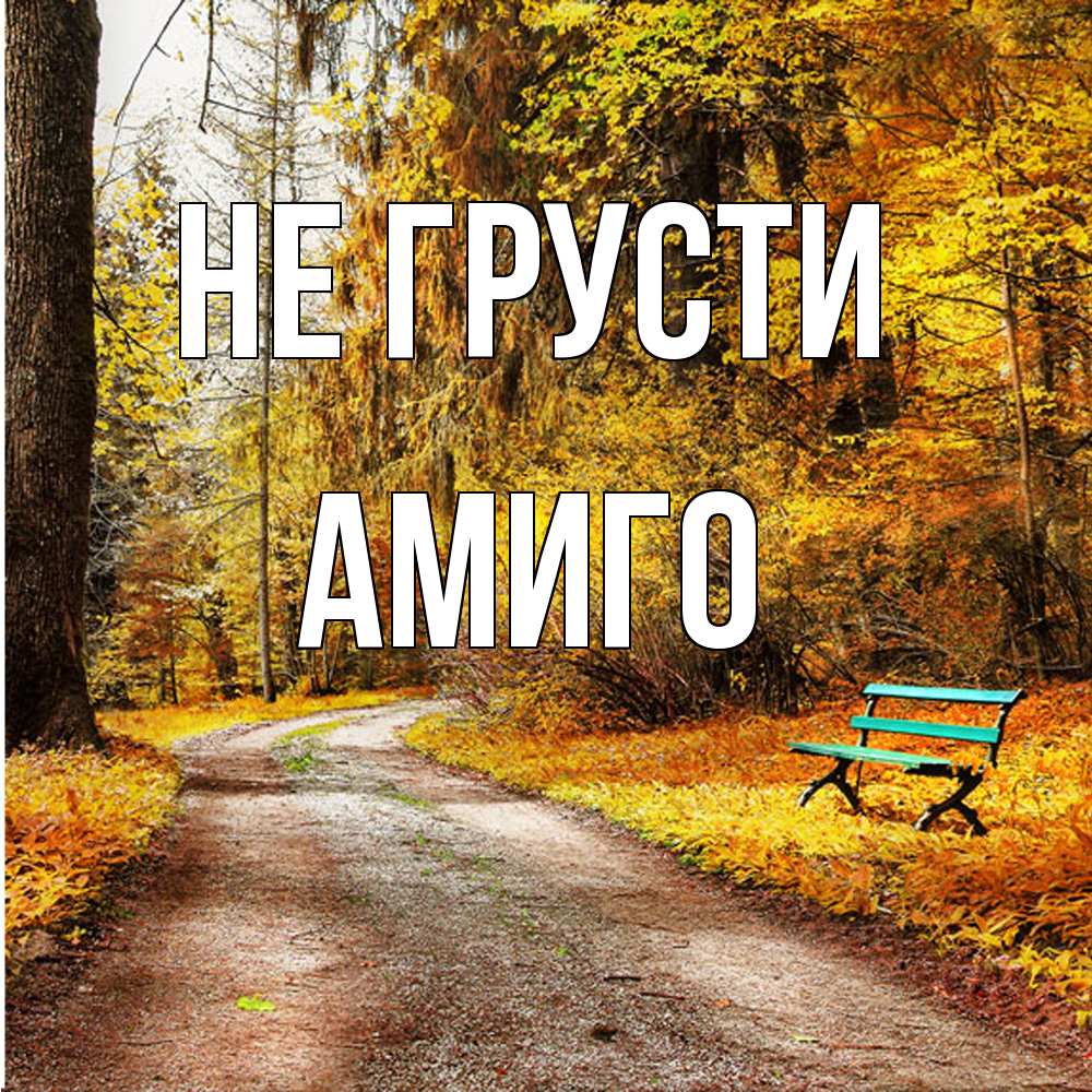 Открытка на каждый день с именем, Амиго Не грусти зеленая лавочка Прикольная открытка с пожеланием онлайн скачать бесплатно 