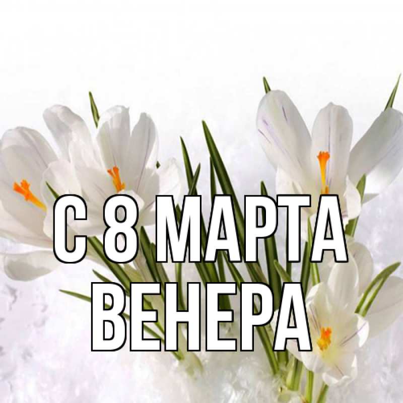 Картинка C 8 МАРТА, Венера