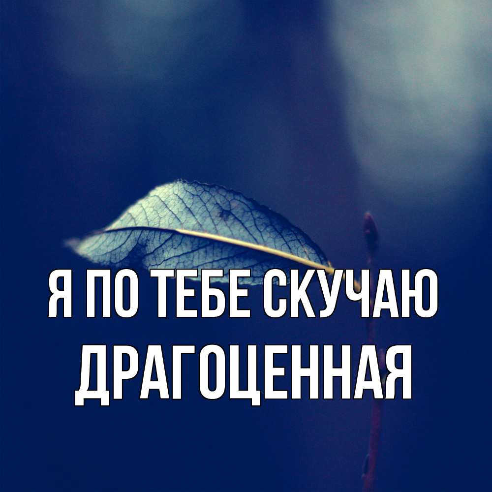 Открытка на каждый день с именем, Драгоценная Я по тебе скучаю одна ветка 1 Прикольная открытка с пожеланием онлайн скачать бесплатно 