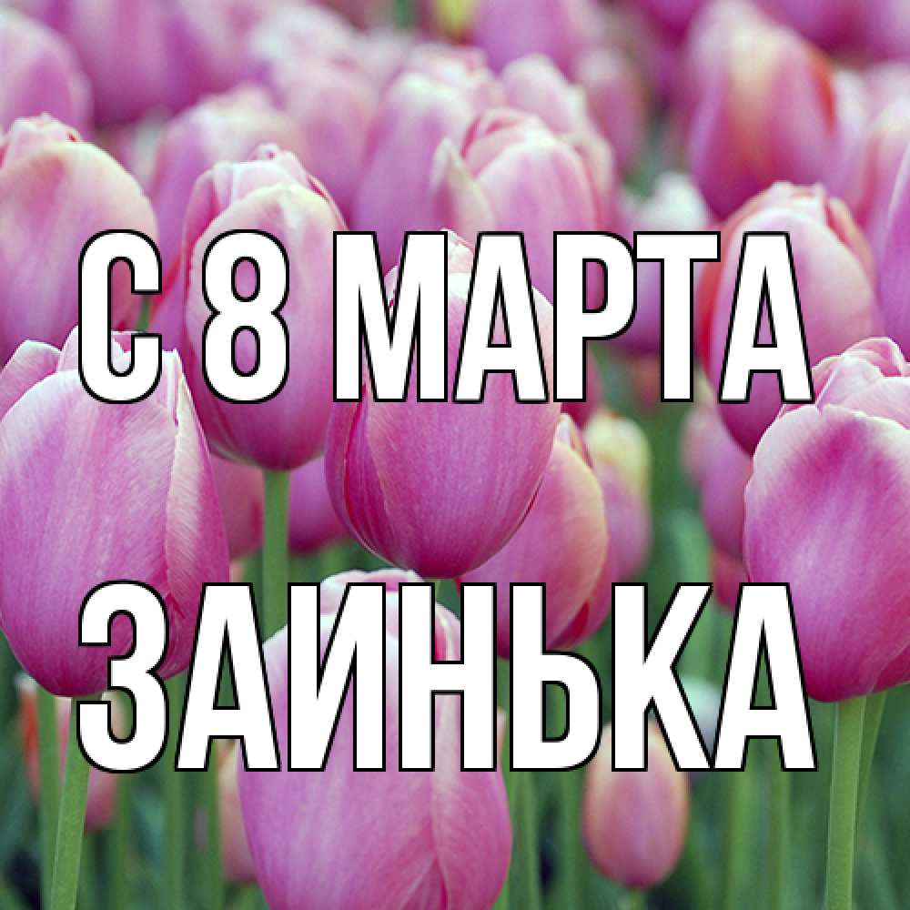 Открытка на каждый день с именем, Заинька C 8 МАРТА на международный женский день 3 Прикольная открытка с пожеланием онлайн скачать бесплатно 