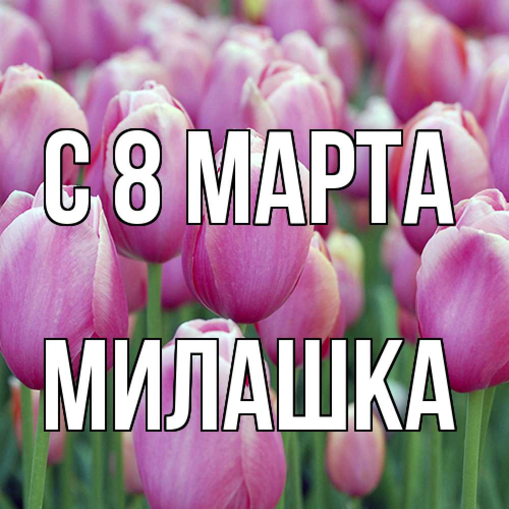 Открытка на каждый день с именем, Милашка C 8 МАРТА на международный женский день 3 Прикольная открытка с пожеланием онлайн скачать бесплатно 