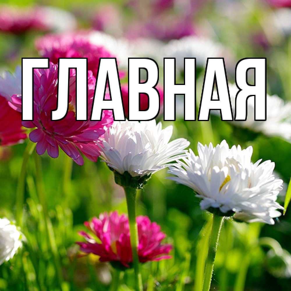 Открытка на каждый день с именем, Анна Главная международный женский день 1 Прикольная открытка с пожеланием онлайн скачать бесплатно 