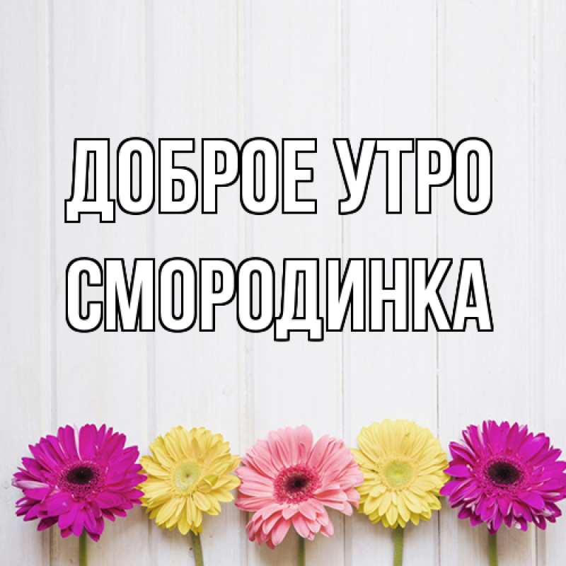 Картинка Доброе утро, смородинка