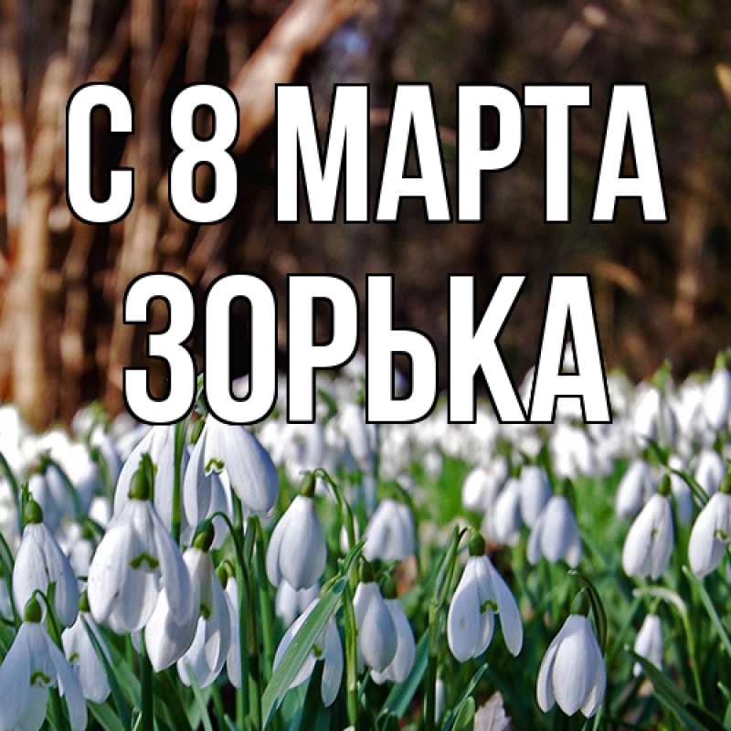 Картинка C 8 МАРТА, Зоpька