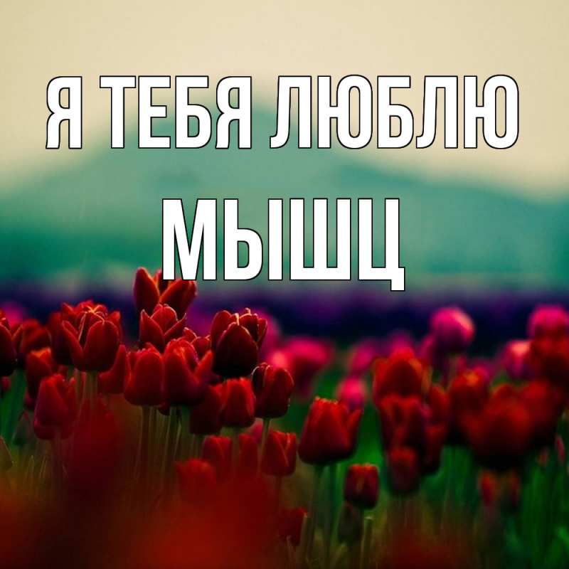 Картинка Я тебя люблю, Мышц