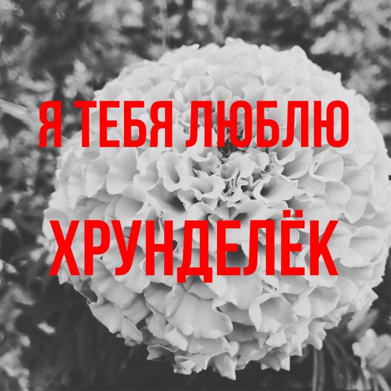 Картинка Я тебя люблю, Хрунделёк