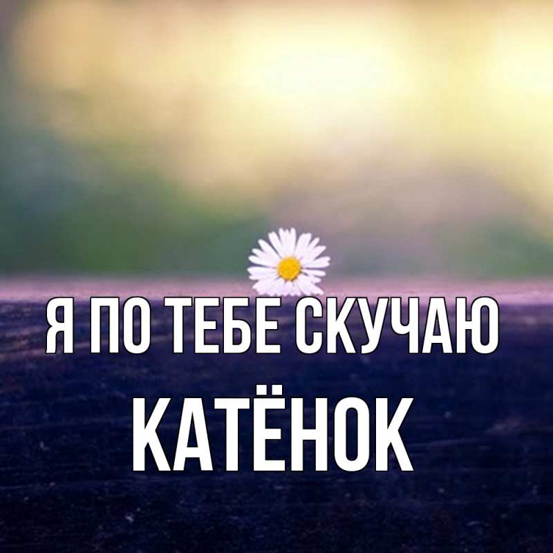 Картинка Я по тебе скучаю, Катёнок