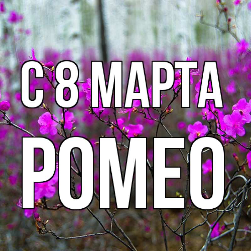 Картинка C 8 МАРТА, Ромео