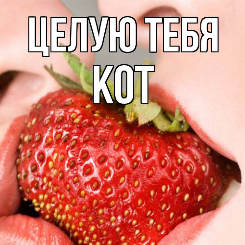 Открытка на каждый день с именем, Кот Целую тебя поцелуйчик Прикольная открытка с пожеланием онлайн скачать бесплатно 