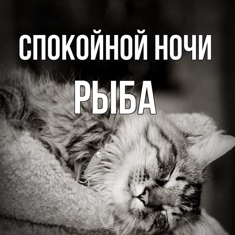 Картинка Спокойной ночи, Рыба