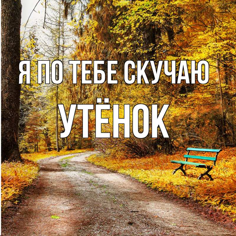 Картинка Я по тебе скучаю, Утёнок