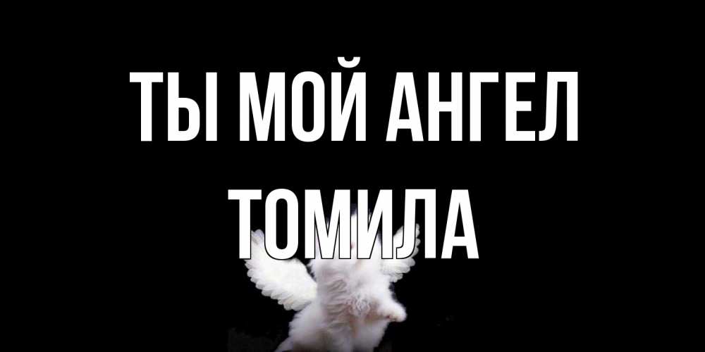 Открытка на каждый день с именем, Томила Ты мой ангел Кот ангел Прикольная открытка с пожеланием онлайн скачать бесплатно 
