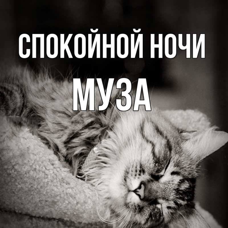 Картинка Спокойной ночи, Муза