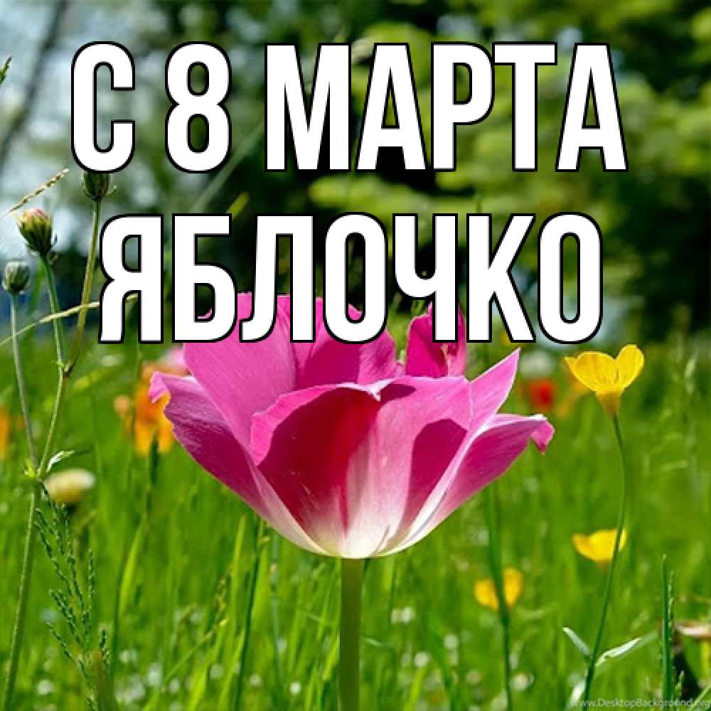 Открытка на каждый день с именем, яблочко C 8 МАРТА полевые цветы Прикольная открытка с пожеланием онлайн скачать бесплатно 
