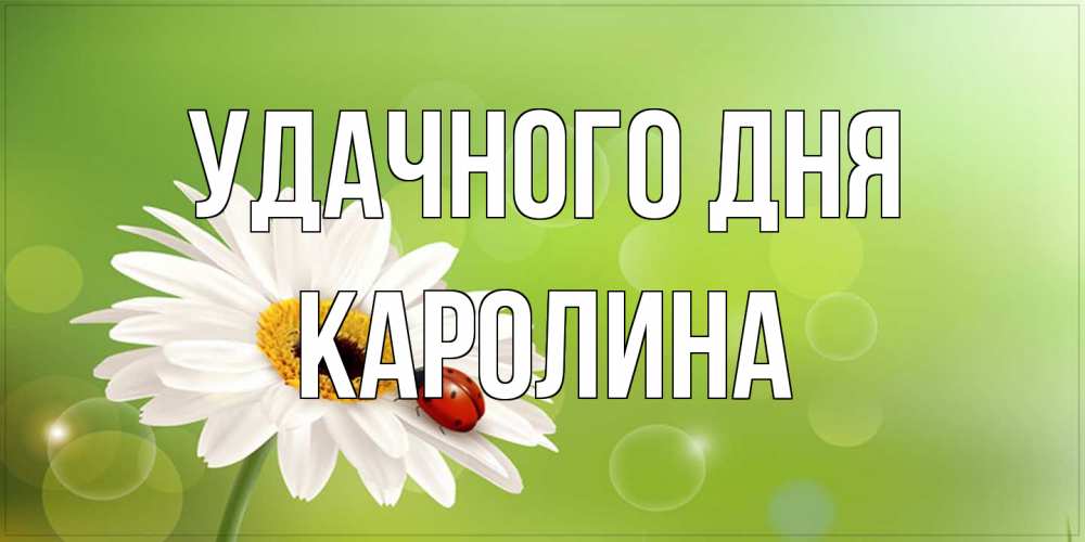 Открытка на каждый день с именем, Каролина Удачного дня зеленый фон и ромашка Прикольная открытка с пожеланием онлайн скачать бесплатно 