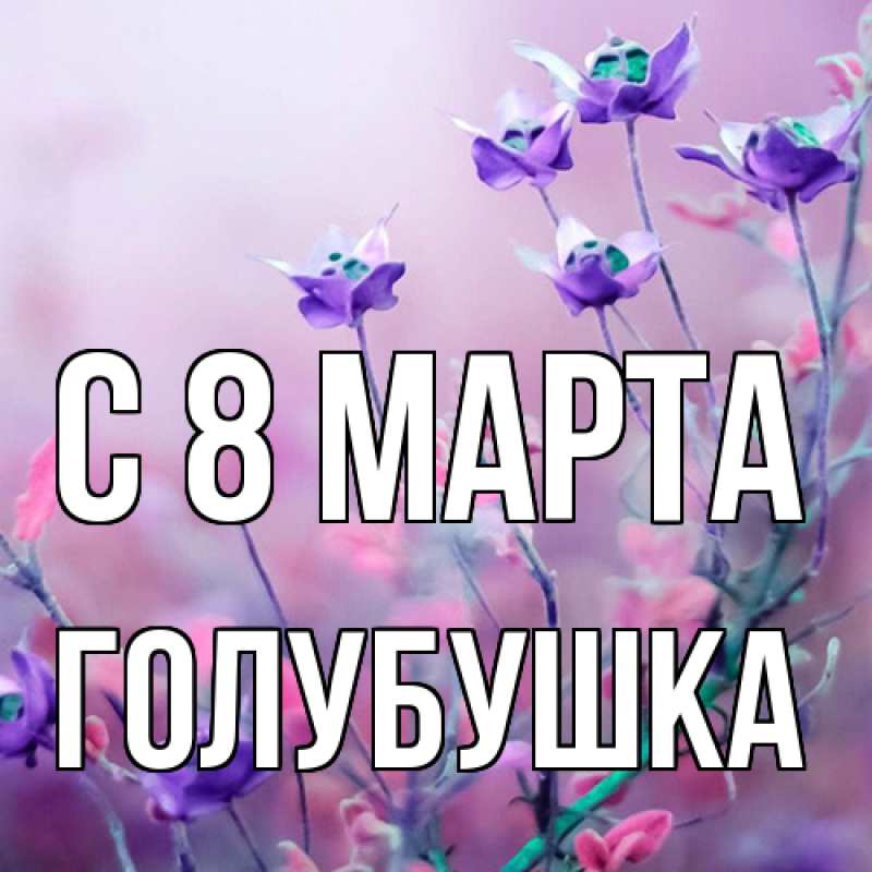 Картинка C 8 МАРТА, Голубушка