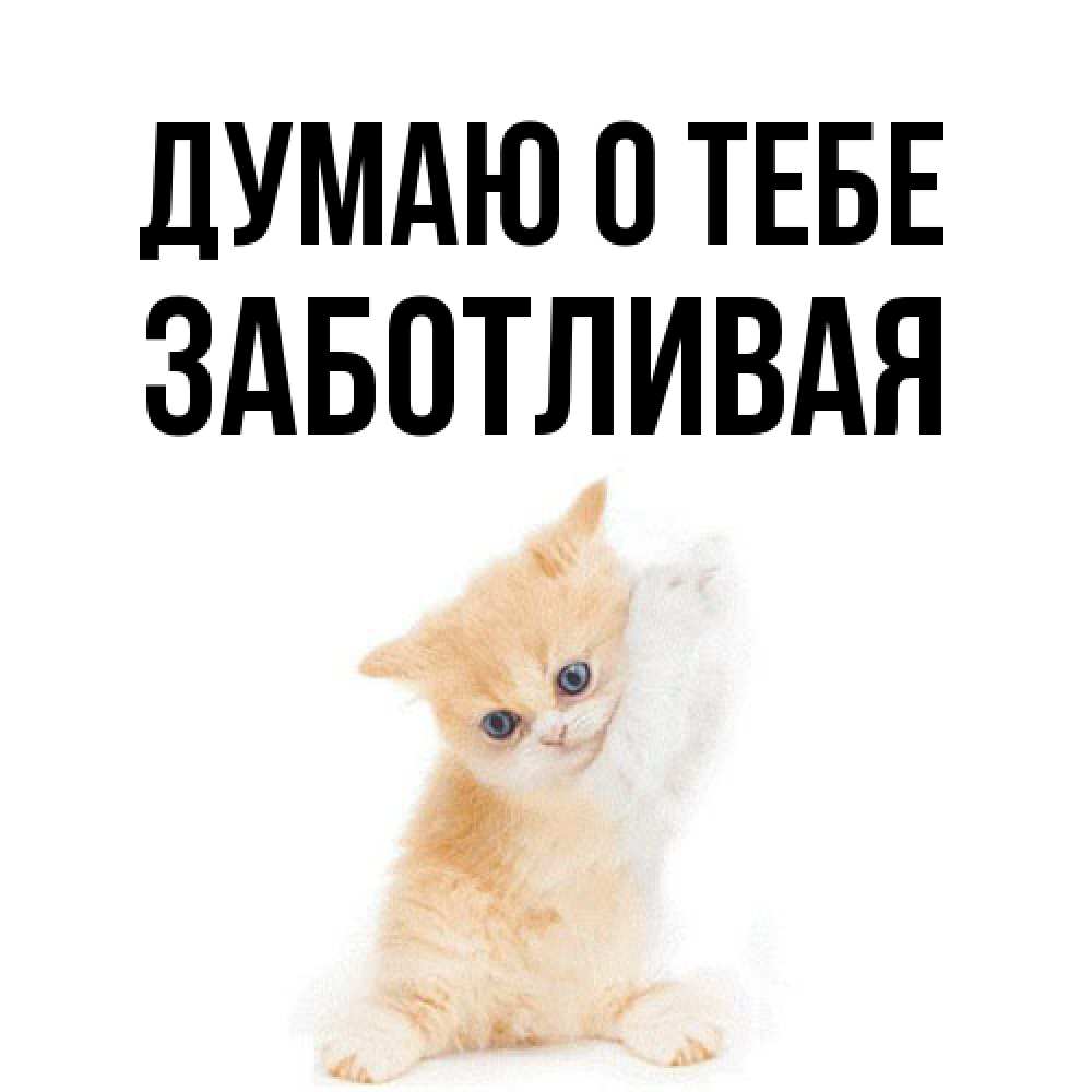 Открытка на каждый день с именем, Заботливая Думаю о тебе зверушки и милота Прикольная открытка с пожеланием онлайн скачать бесплатно 