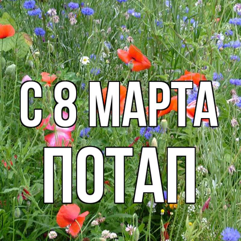 Картинка C 8 МАРТА, Потап