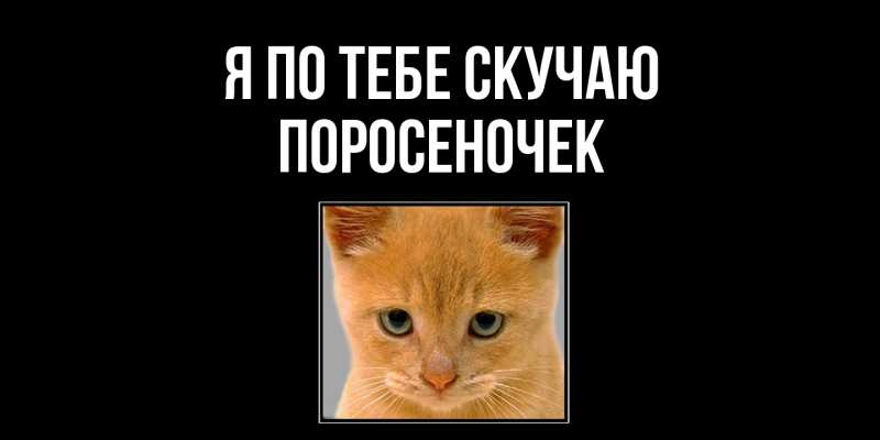 Картинка Я по тебе скучаю, поросеночек