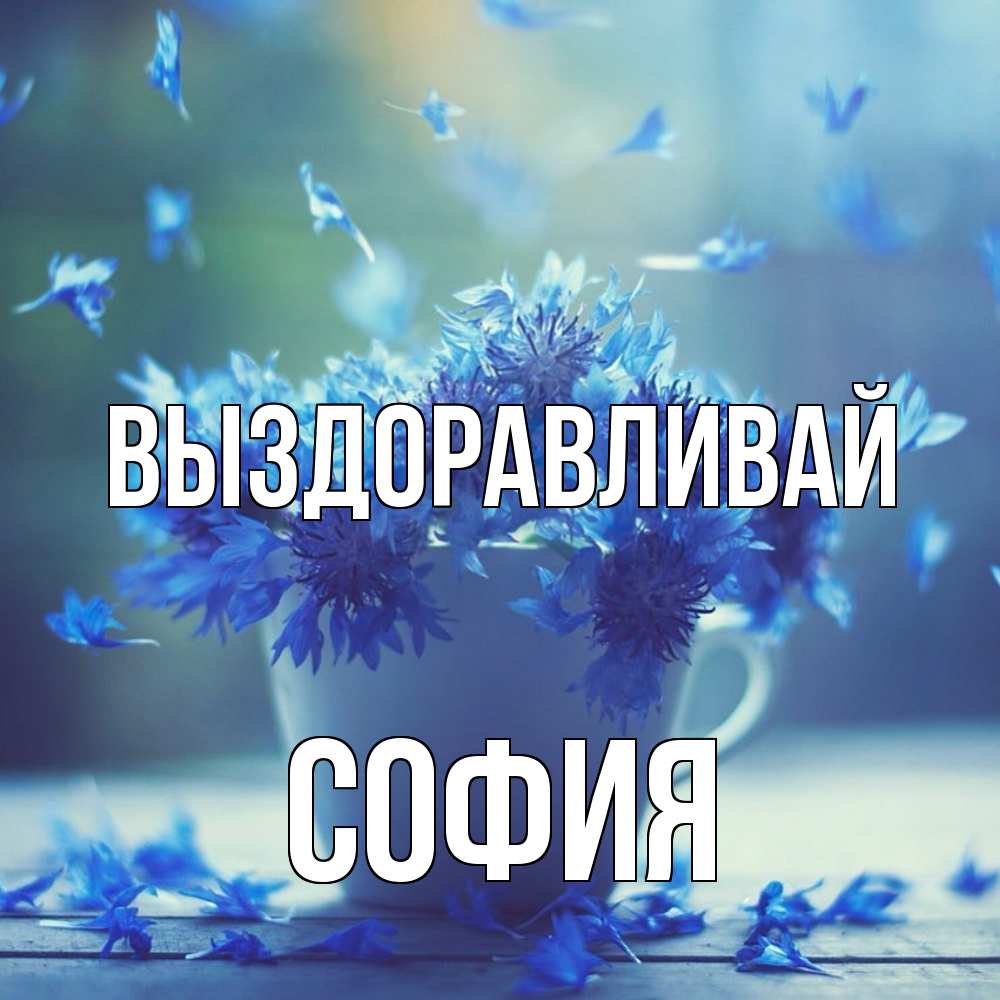 Открытка на каждый день с именем, София Выздоравливай кружка с зельем и цветами Прикольная открытка с пожеланием онлайн скачать бесплатно 