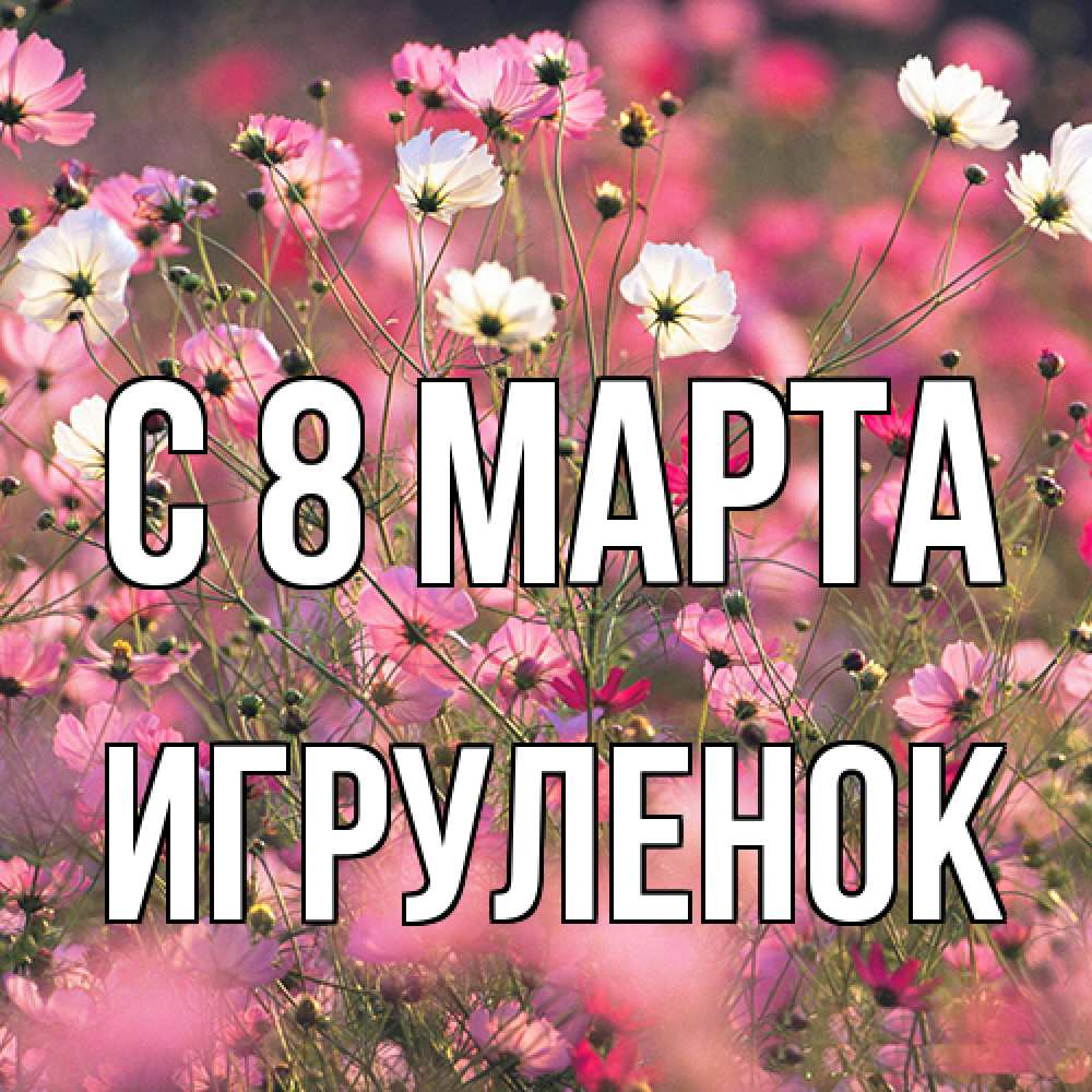 Открытка на каждый день с именем, Игpуленок C 8 МАРТА красиво 1 Прикольная открытка с пожеланием онлайн скачать бесплатно 