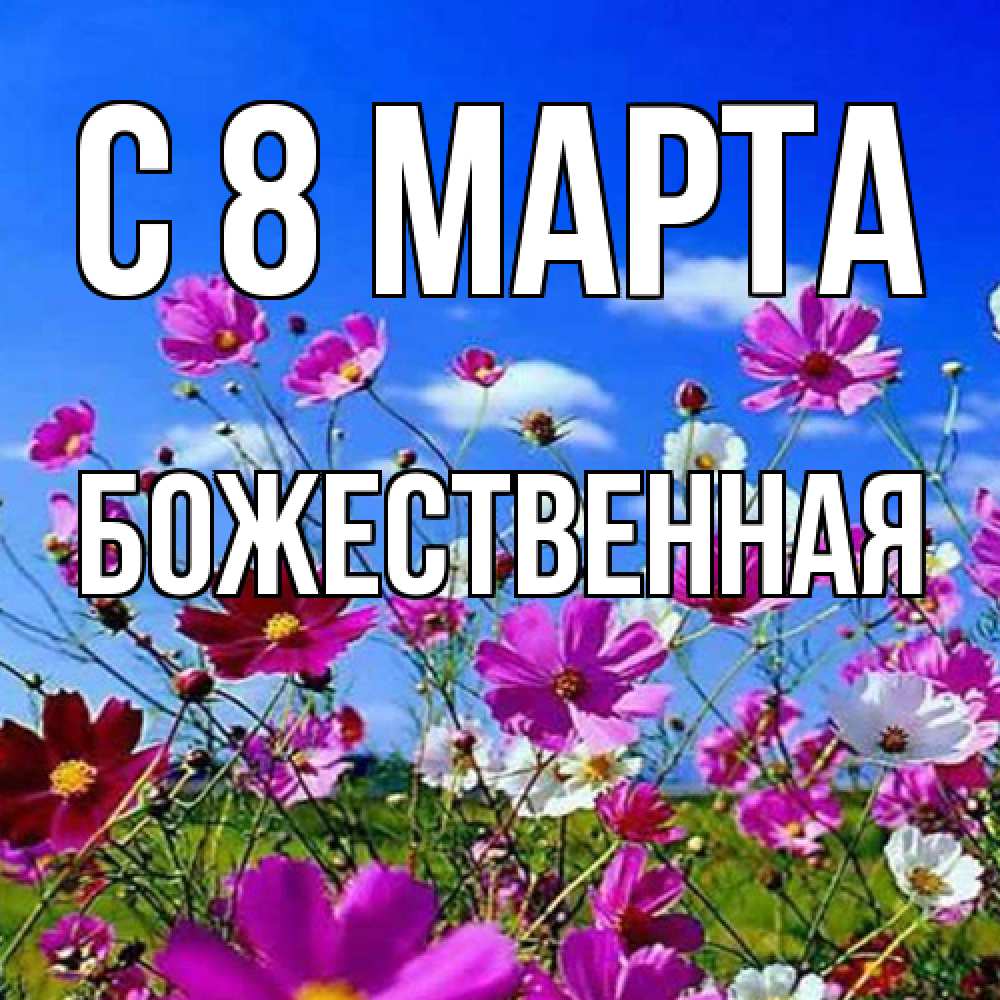 Открытка на каждый день с именем, божественная C 8 МАРТА цветы Прикольная открытка с пожеланием онлайн скачать бесплатно 
