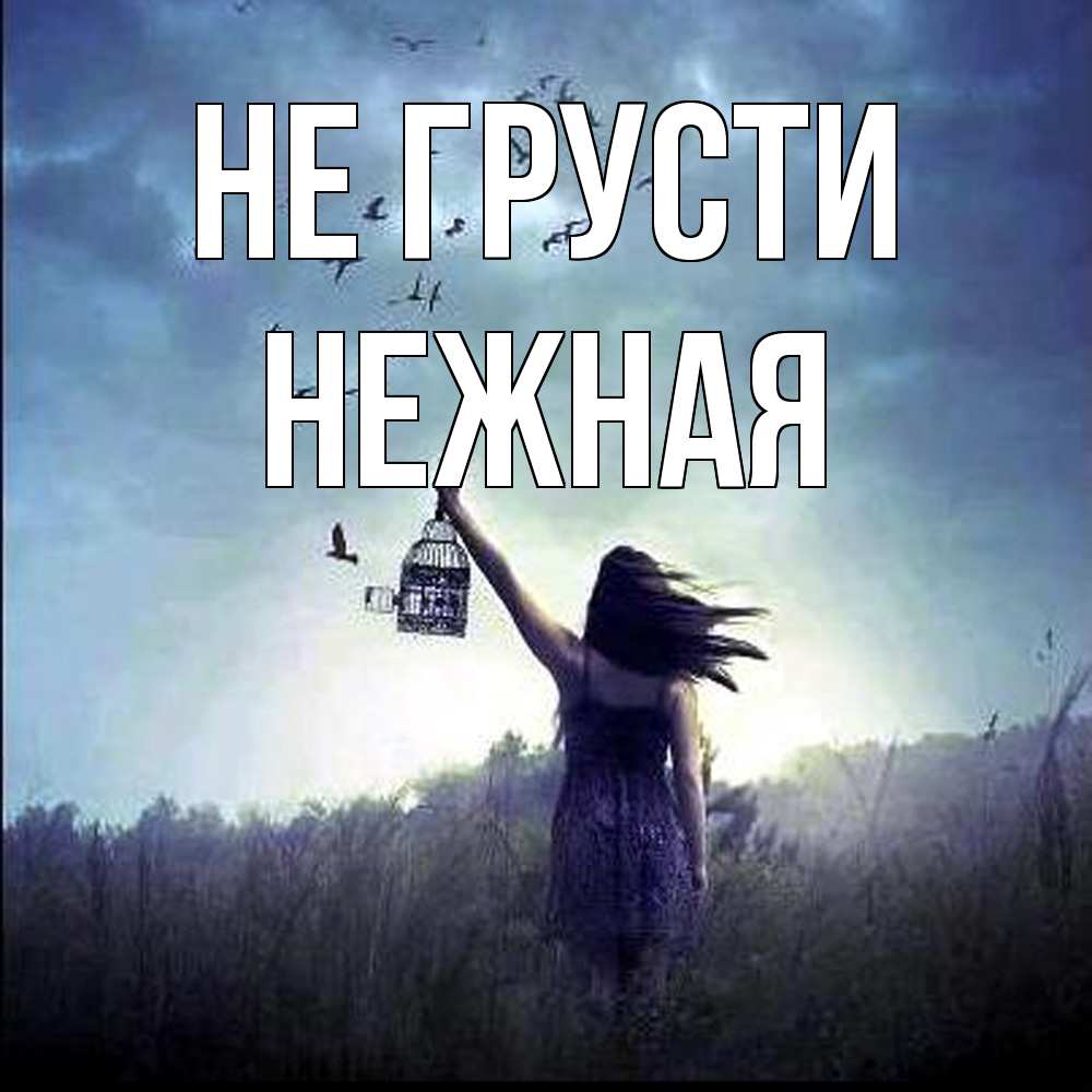 Открытка на каждый день с именем, Hежная Не грусти на волю Прикольная открытка с пожеланием онлайн скачать бесплатно 