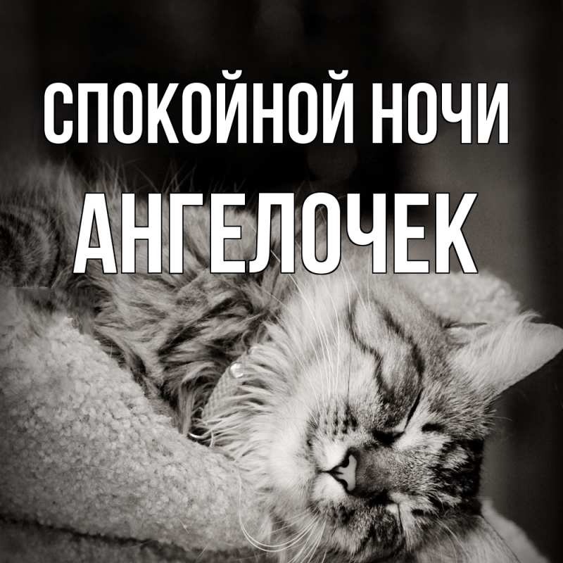 Картинка Спокойной ночи, Ангелочек