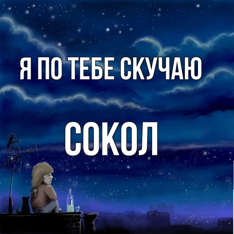 Картинка Я по тебе скучаю, Сокол