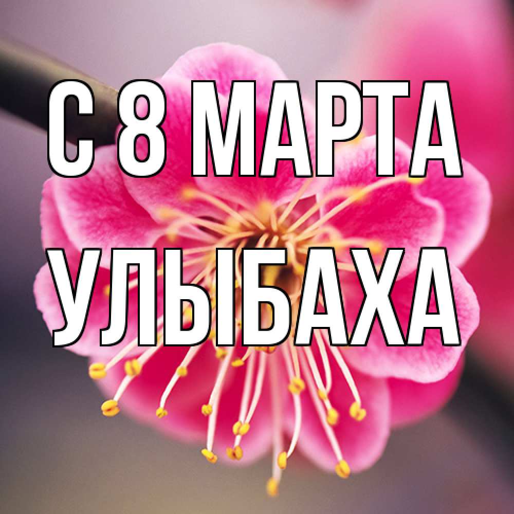 Открытка на каждый день с именем, Улыбаха C 8 МАРТА цветы Прикольная открытка с пожеланием онлайн скачать бесплатно 