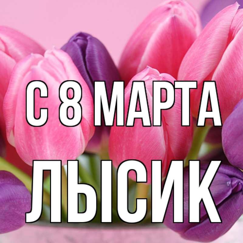 Картинка C 8 МАРТА, Лысик