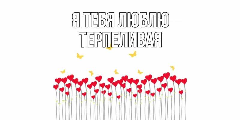 Картинка Я тебя люблю, терпеливая