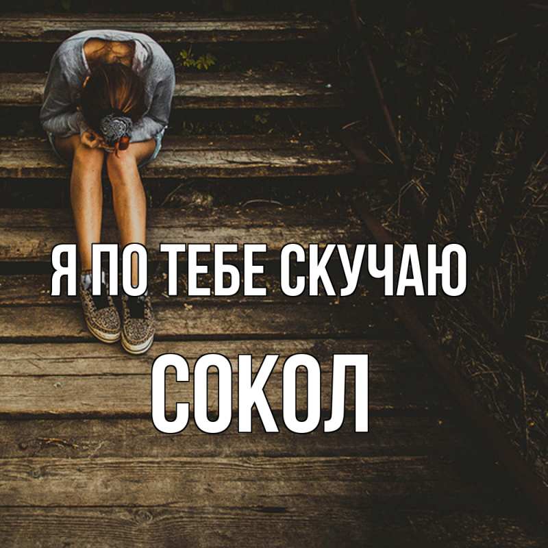 Картинка Я по тебе скучаю, Сокол