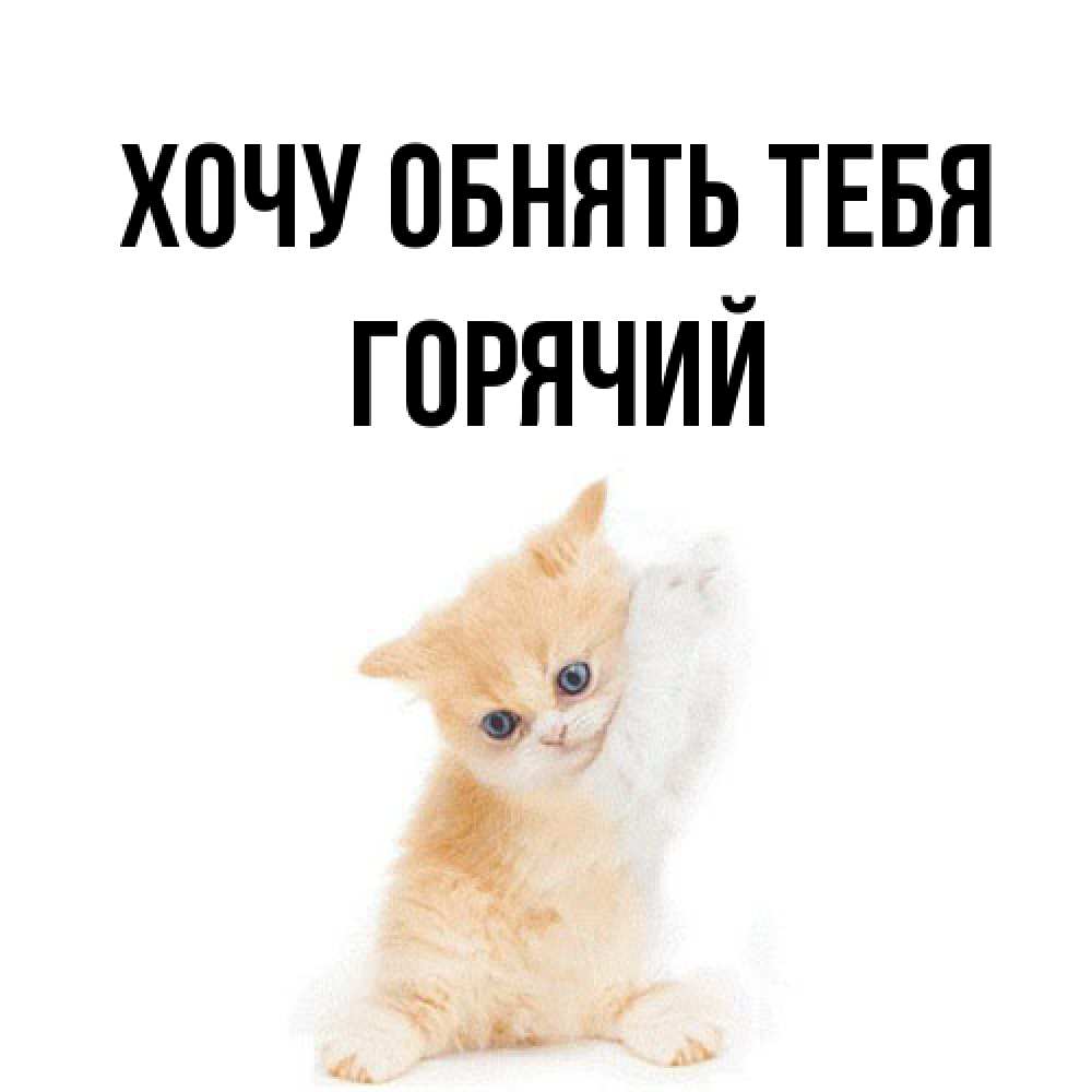 Открытка на каждый день с именем, Горячий Хочу обнять тебя я хочу очень скорее обнимаешек Прикольная открытка с пожеланием онлайн скачать бесплатно 