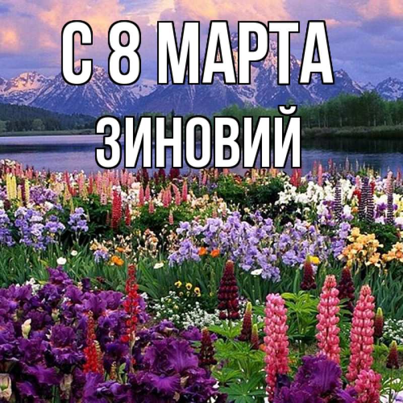 Картинка C 8 МАРТА, Зиновий