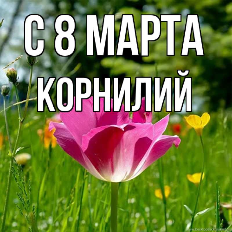 Картинка C 8 МАРТА, Корнилий