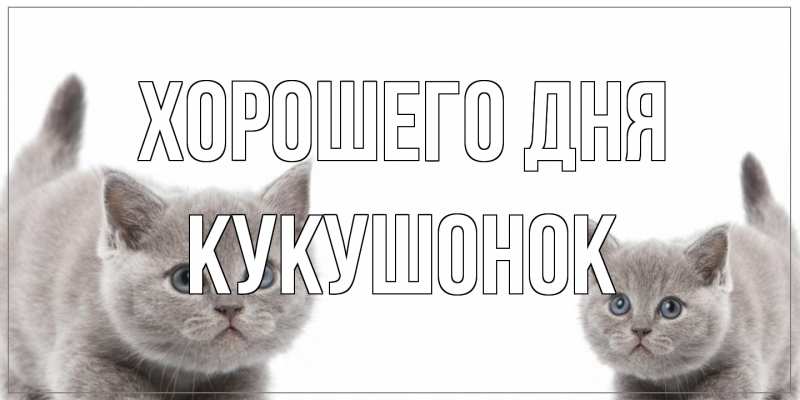 Картинка Хорошего дня, кукушонок