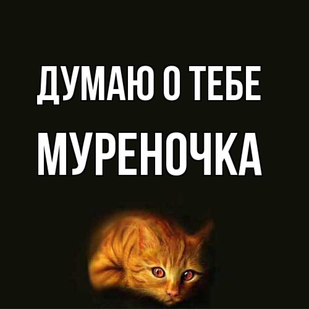 Открытка на каждый день с именем, Муpеночка Думаю о тебе рыжий Прикольная открытка с пожеланием онлайн скачать бесплатно 