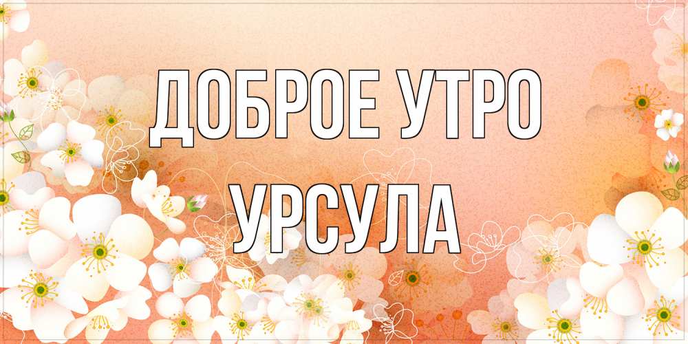 Открытка на каждый день с именем, Урсула Доброе утро доброе утро с цветами Прикольная открытка с пожеланием онлайн скачать бесплатно 