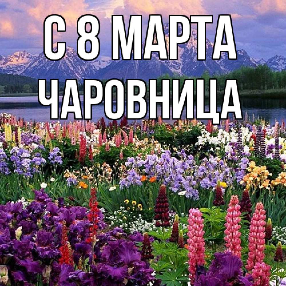 Открытка на каждый день с именем, чаровница C 8 МАРТА международный женский день Прикольная открытка с пожеланием онлайн скачать бесплатно 
