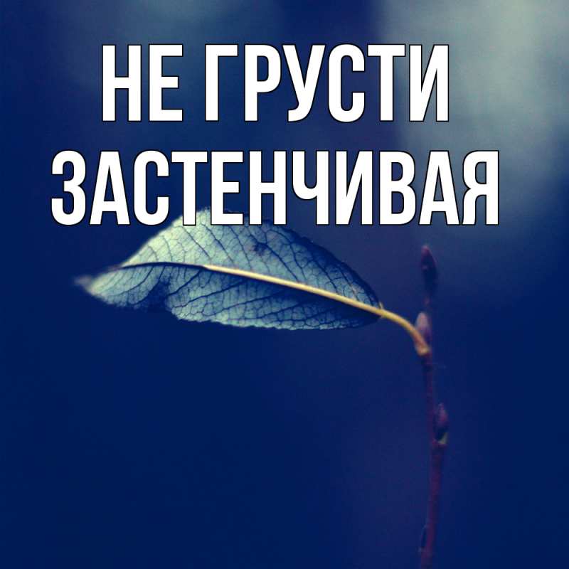 Картинка Не грусти, Застенчивая