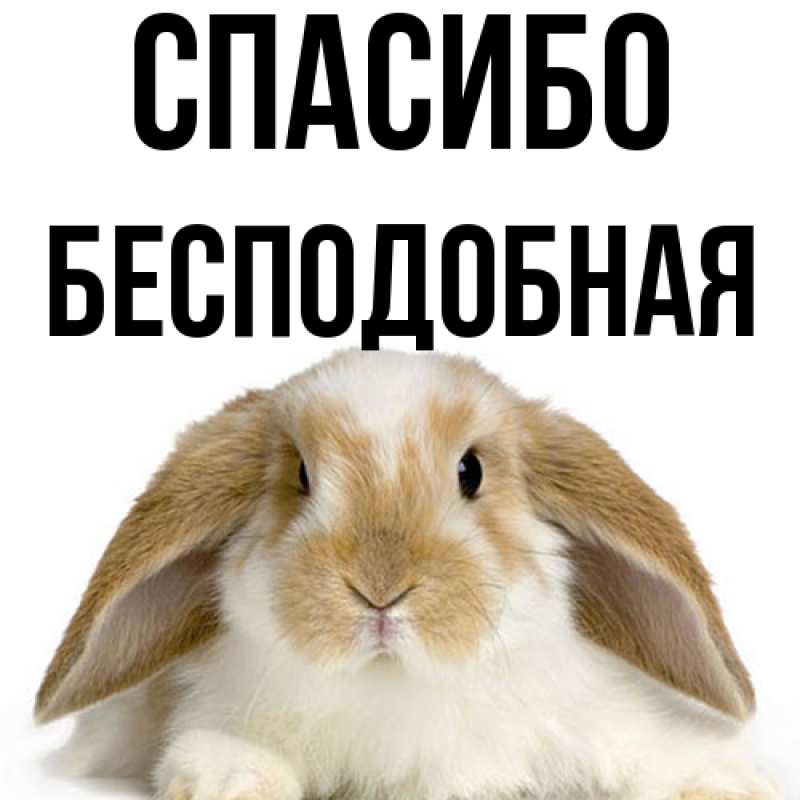Картинка Спасибо, бесподобная