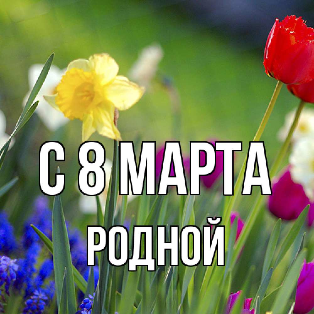Открытка на каждый день с именем, Родной C 8 МАРТА международный женский день 3 Прикольная открытка с пожеланием онлайн скачать бесплатно 
